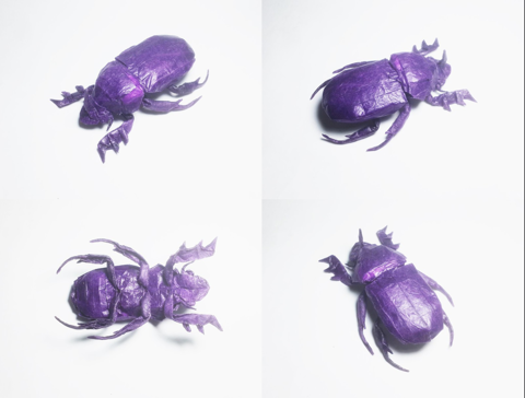 Dung Beetle