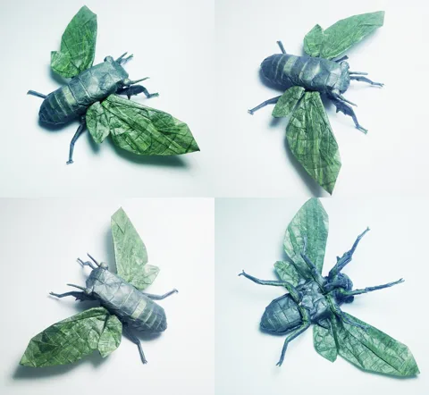 Flying Cicada