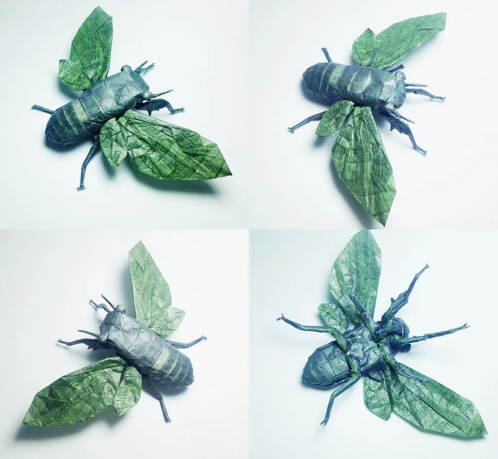 Flying Cicada