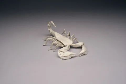 Emperor scorpion (PD)