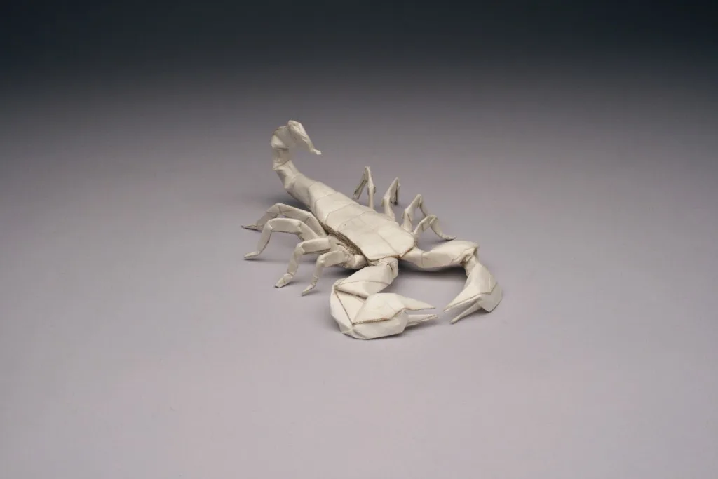 Emperor scorpion (PD)
