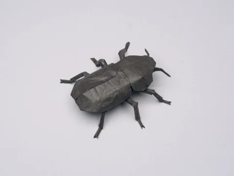 Generic beetle (PD)