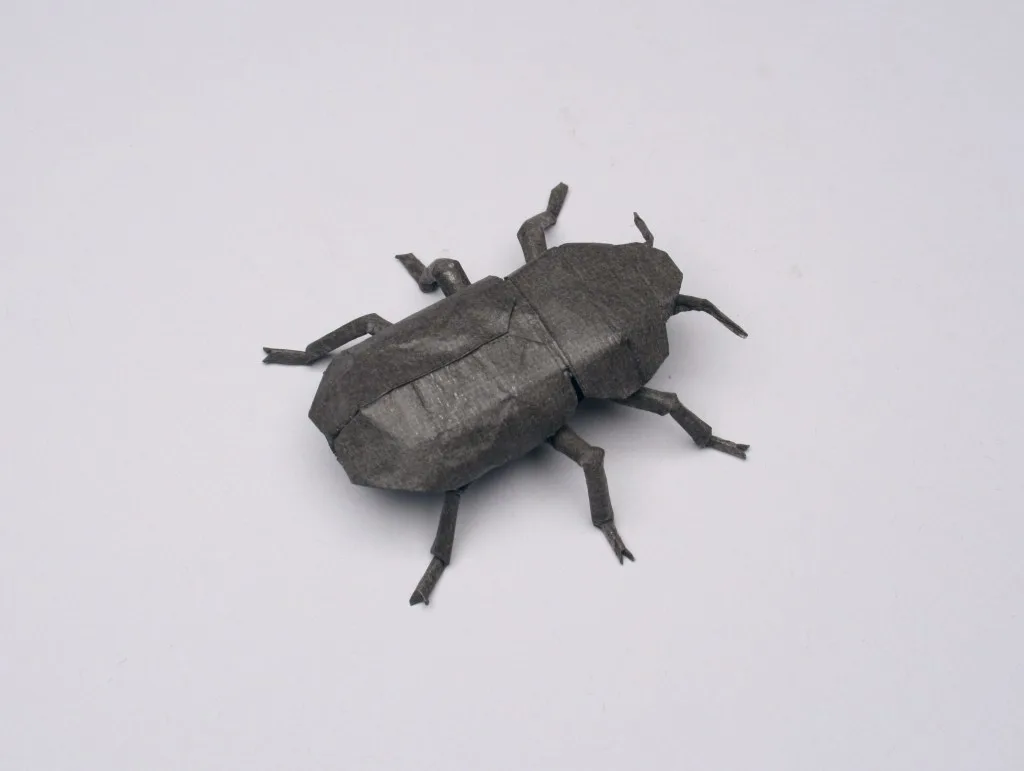 Generic beetle (PD)