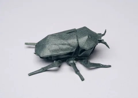 Jewel scarab (PD) Chrysina Beetle