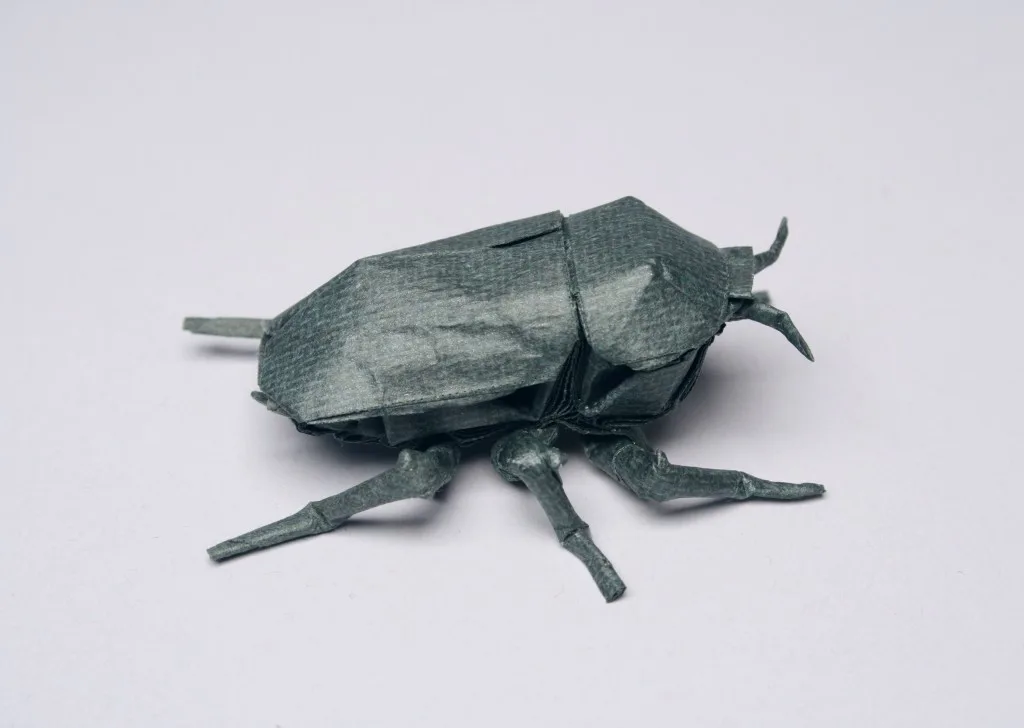 Jewel scarab (PD) Chrysina Beetle