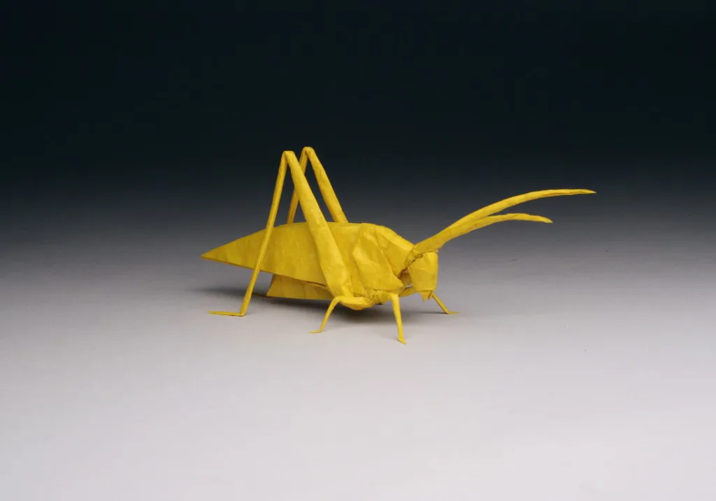 Katydid (PD)