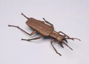 Salt creek tiger beetle