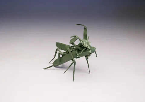 Snack time (PD) (mantises eating each other)