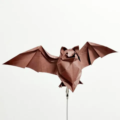 Bat