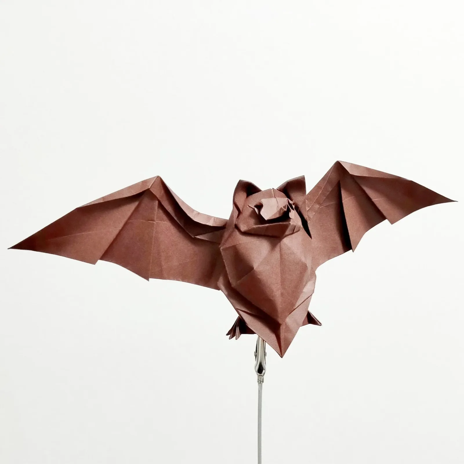 Bat