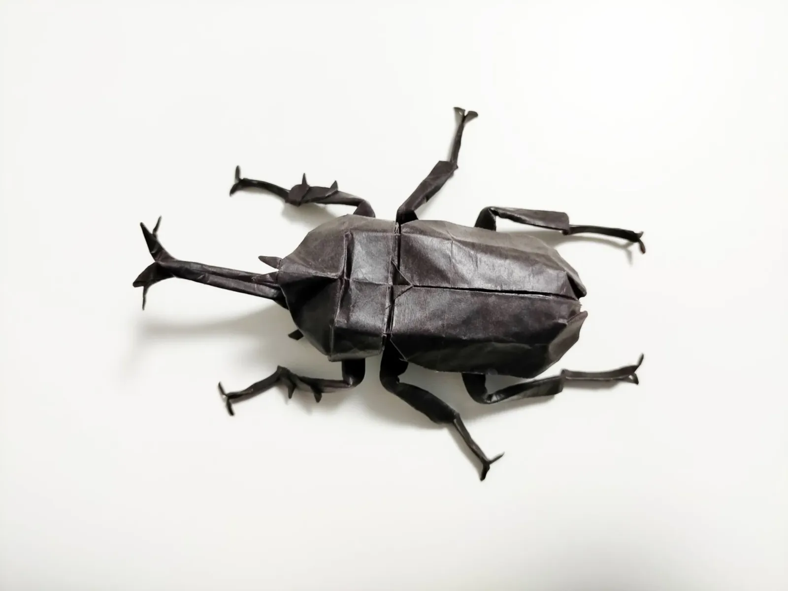 Beetle
