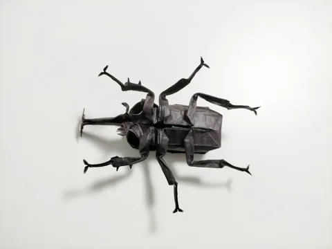 Beetle