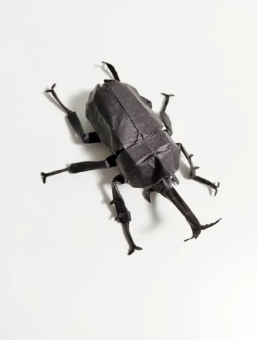 Beetle