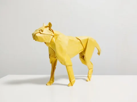 Cheetah