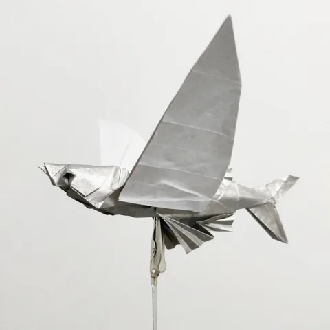 Flying Fish