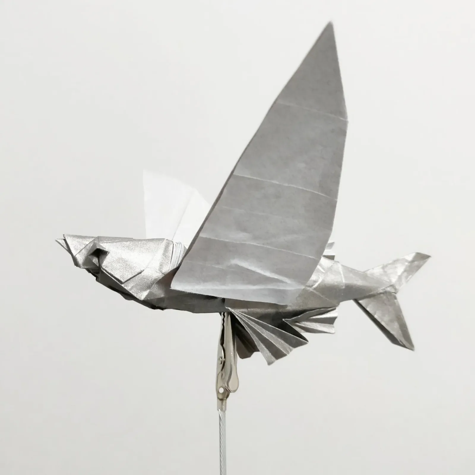 Flying Fish