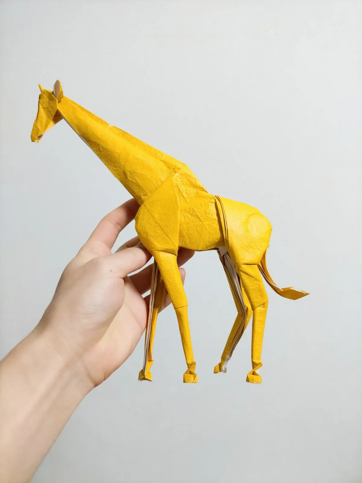 Giraffe