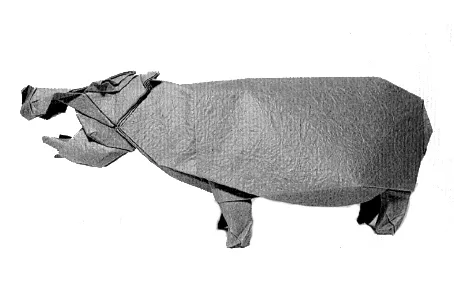 Hippopotamus 1