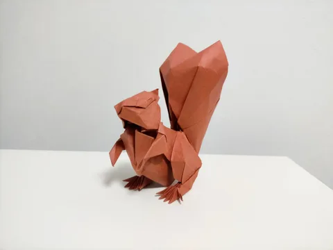 Squirrel