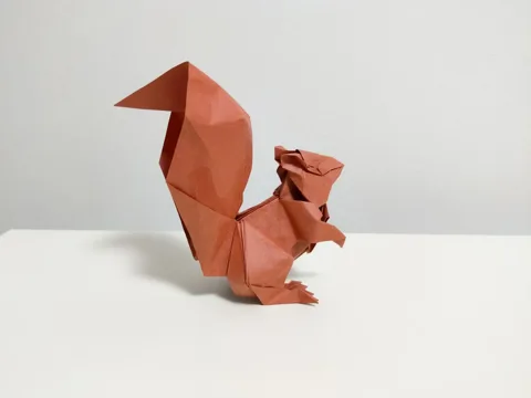 Squirrel
