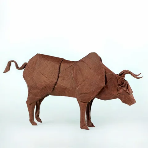 Cattle