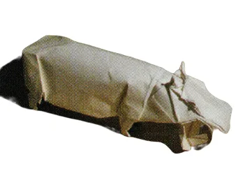 Hippopotamus