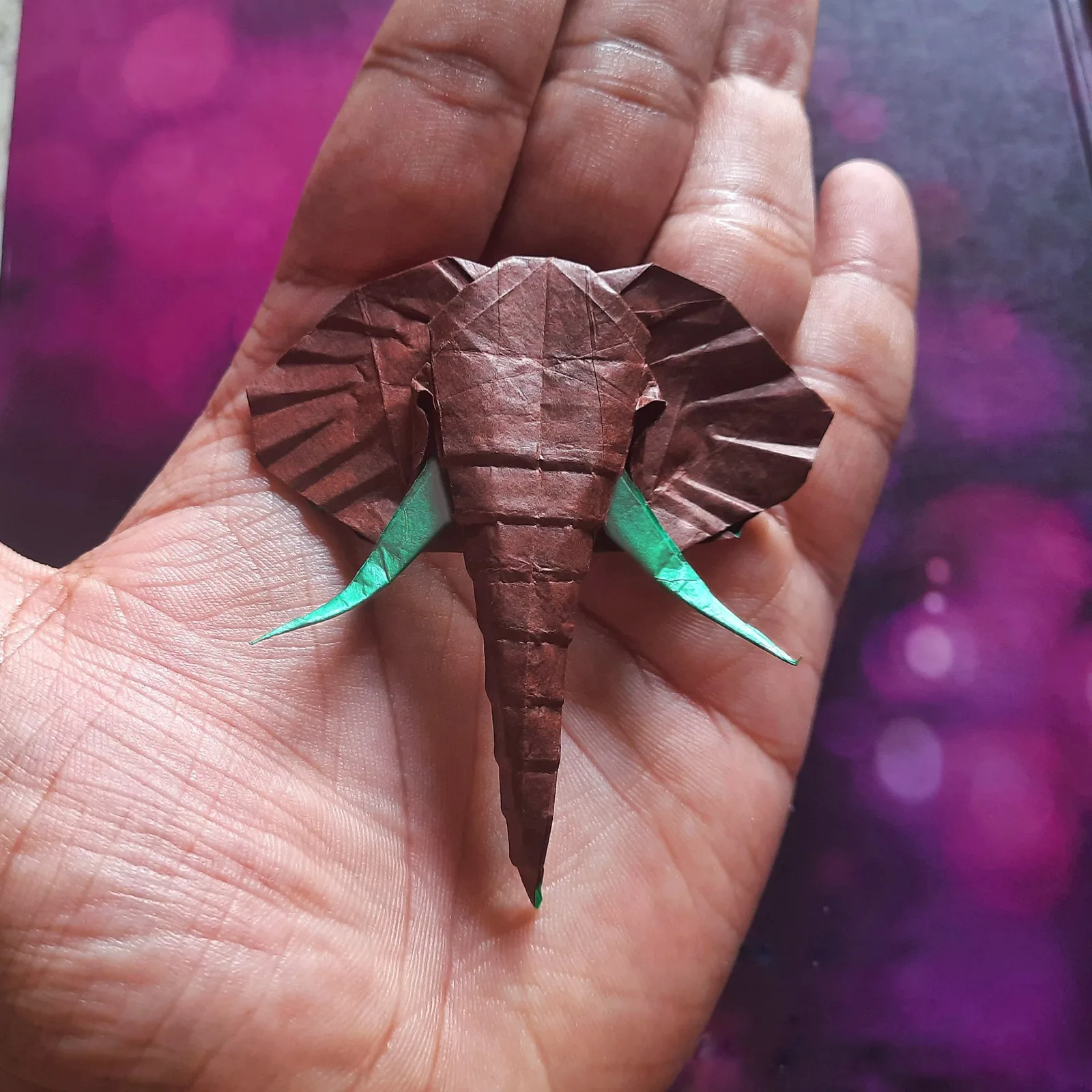 Elephant Head
