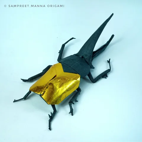 Hercules Beetle CP