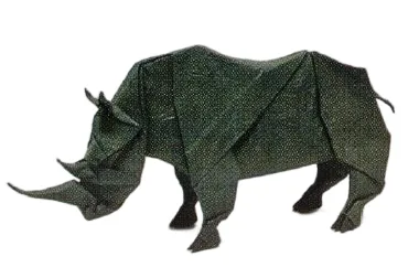 White rhinoceros