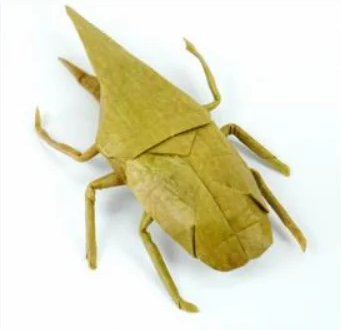 Simple Hercules Beetle