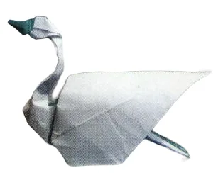 Swan