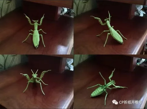Praying mantis (PD)