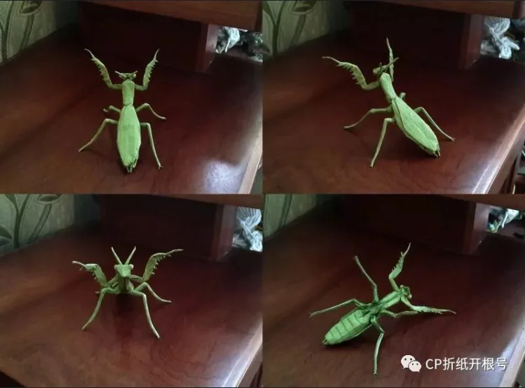 Praying mantis (PD)