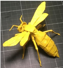 Wasp