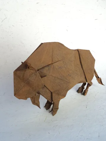 Bison