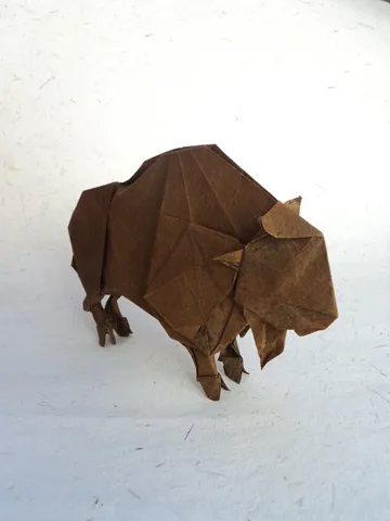 Bison