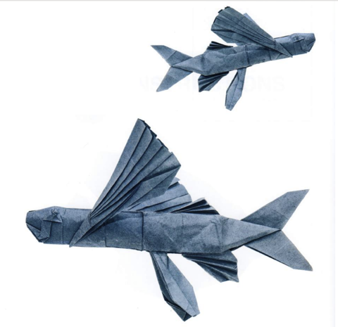 Flying fish