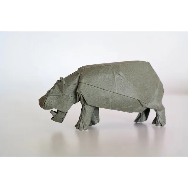 Hippopotamus (PD)