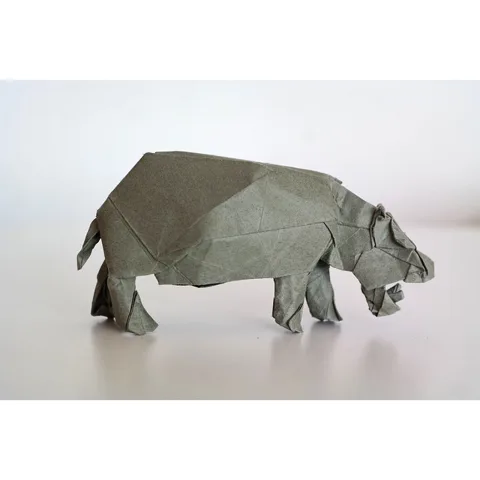 Hippopotamus (PD)