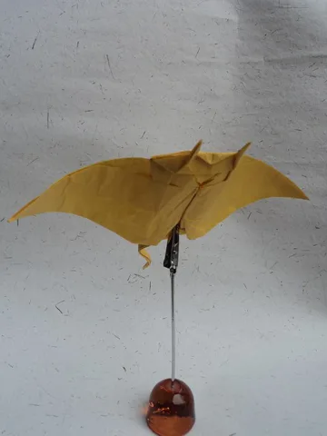 Manta ray
