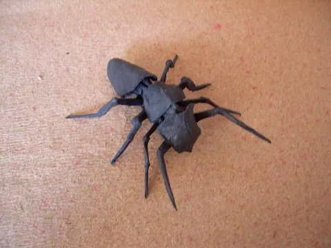 Pentagonal ant