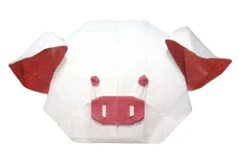 Pig head
