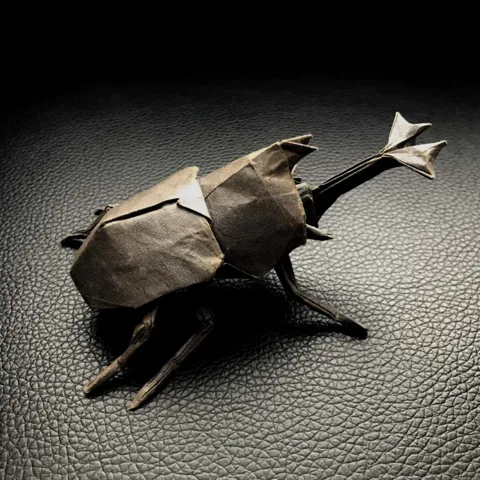 Samurai Helmet Beetle