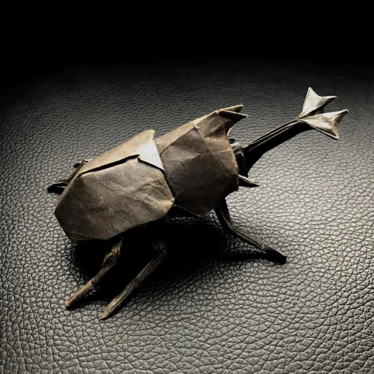 Samurai Helmet Beetle