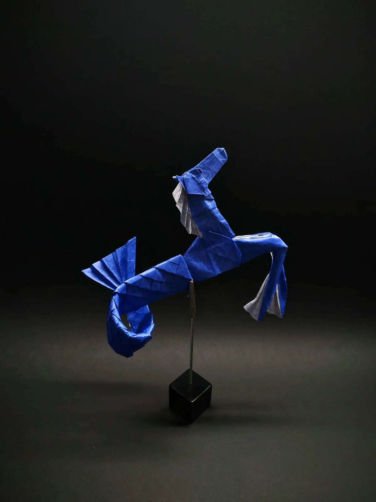 Hippocampus