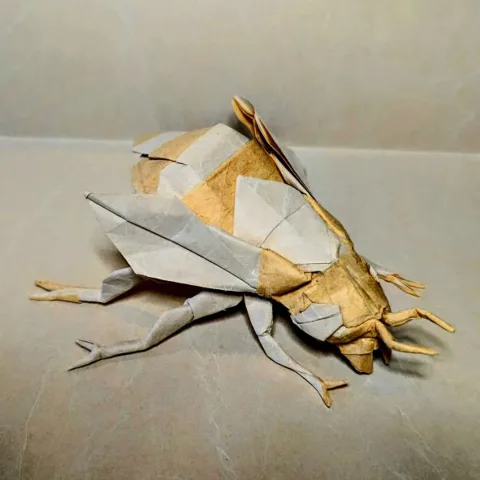 Bee