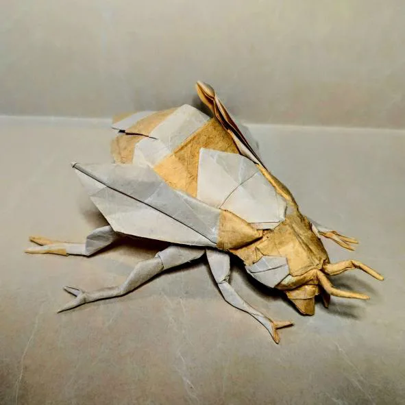 Bee