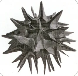 Purple sea urchin