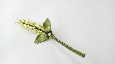 Wheat