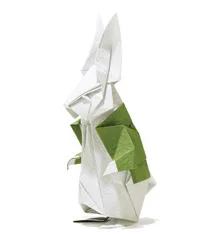 White rabbit